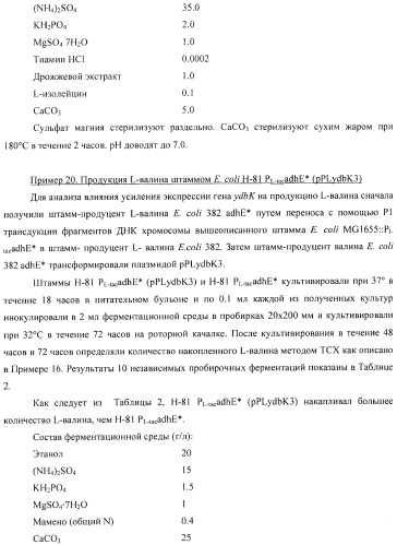 Способ получения l-аминокислоты с использованием бактерии, принадлежащей к роду escherichia (патент 2395579)
