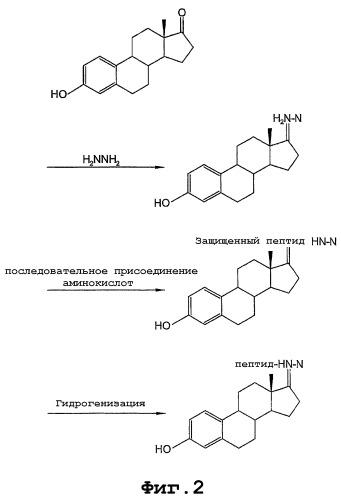 Биологически активные производные пептида vapeehptllteaplnpk (патент 2377249)