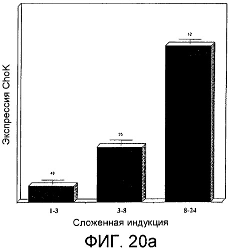 Способ in vitro определения прогноза развития заболевания у больного раком и способ in vitro мониторинга эффекта терапии, назначаемой больному раком (патент 2434946)