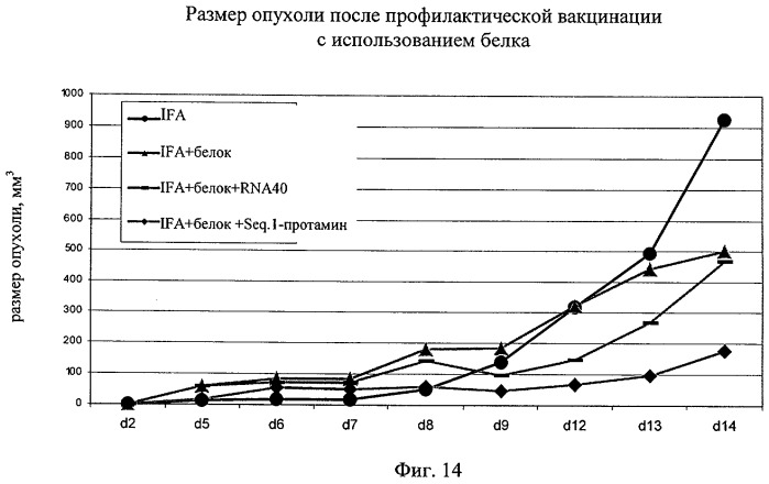 Нуклеиновая кислота формулы (i): glxmgn или (ii): glxmgn, предназначенная для применения прежде всего в качестве иммуностимулятора/адъюванта (патент 2487938)