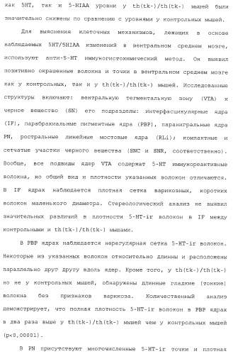 Комбинация агонистов альфа 7 никотиновых рецепторов и антипсихотических средств (патент 2481123)