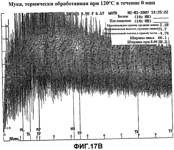 Неклейкая мука восковидных сортов и способ ее получения (патент 2469540)