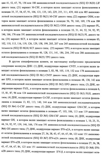 Вариант еро, обладающий повышенным сродством связывания с рецептором и сниженным антигенным потенциалом, днк, кодирующая такой вариант еро, рекомбинантный экспрессионный вектор, содержащий такую днк, клетка-хозяин, трансформированная или трансфектированная таким вектором, способ получения такого варианта еро и фармацевтическая композиция, содержащая такой вариант еро (патент 2432360)