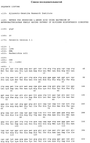Способ получения l-аминокислот с использованием бактерии, принадлежащей к роду escherichia, в которой разрушен путь биосинтеза гликогена (патент 2315809)