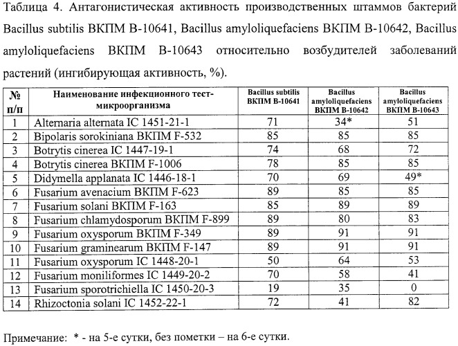 Штаммы бактерий bacillus subtilis и bacillus amyloliquefaciens, обеспечивающие восстановление микробиоценозов почвы и желудочно-кишечного тракта животных, обладающие бактерицидной, фунгицидной и вирулицидной активностью, и препарат на основе этих штаммов (патент 2482174)