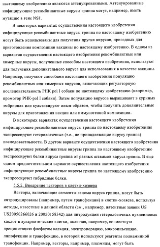 Способы и композиции для экспрессии антисмысловой вирусной рнк в клетках собаки (патент 2457250)