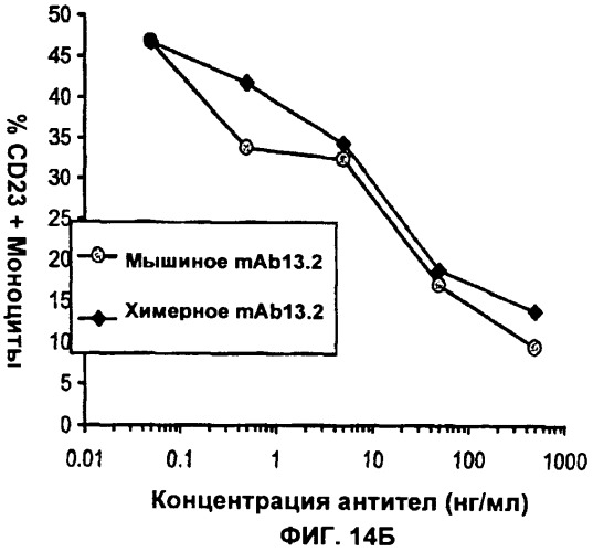 Антитела против интерлейкина-13 человека и их применение (патент 2427589)