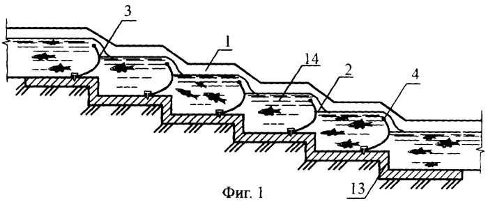 Способ формирования гидравлического сопротивления по длине рыбоходного тракта и рыбоход, его осуществляющий (патент 2245415)