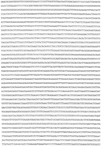 Применение s1p (патент 2362565)