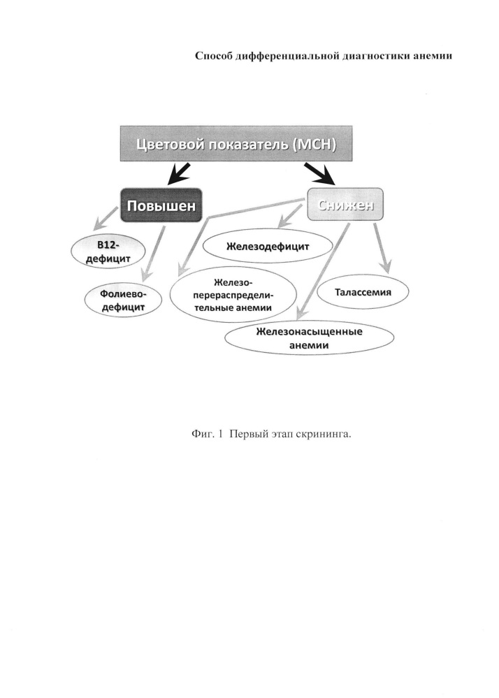 Способ дифференциальной диагностики анемий (патент 2667471)