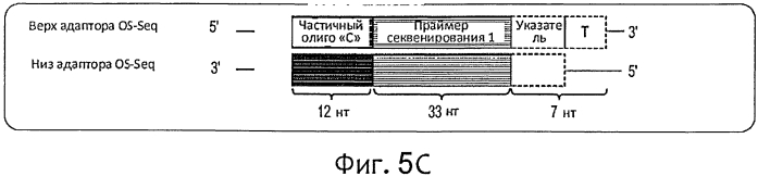 Прямой захват, амплификация и секвенирование днк-мишени с использованием иммобилизированных праймеров (патент 2565550)