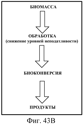 Переработка биомассы (патент 2560426)