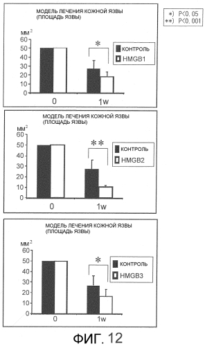 Способ сбора функциональных клеток in vivo с высокой эффективностью (патент 2571230)