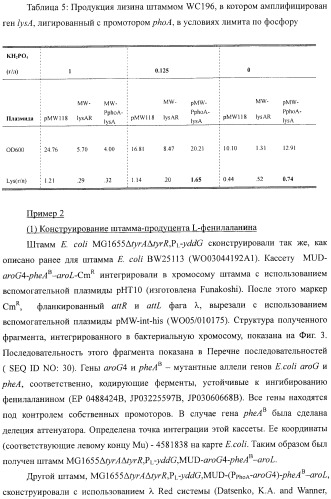 Способ получения l-аминокислоты (патент 2405040)