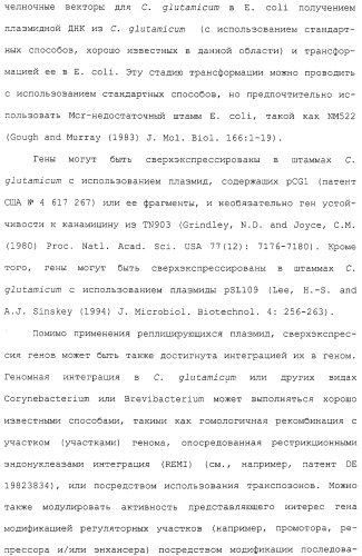 Гены corynebacterium glutamicum, кодирующие белки, участвующие в метаболизме углерода и продуцировании энергии (патент 2310686)