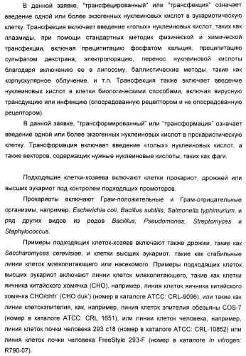 Соединение, предназначенное для стимуляции пути передачи сигнала через il-15rбета/гамма, с целью индуцировать и/или стимулировать активацию и/или пролиферацию il-15rбета/гамма-положительных клеток, таких как nk-и/или t-клетки, нуклеиновая кислота, кодирующая соединение, вектор экспрессии, клетка-хозяин, адъювант для иммунотерапевтической композиции, фармацевтическая композиция и лекарственное средство для лечения состояния или заболевания, при котором желательно повышение активности il-15, способ in vitro индукции и/или стимуляции пролиферации и/или активации il-15rбета/гамма-положительных клеток и способ получения in vitro активированных nk-и/или t-клеток (патент 2454463)