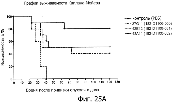 Моноклональные антитела против клаудина-18 для лечения рака (патент 2571923)