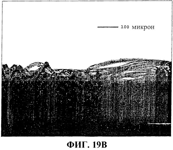 Застежки на основе пеноматериала (патент 2376915)