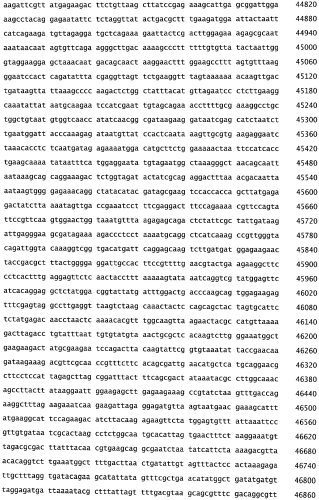 Бактериофаг, обладающий активностью против pseudomonas aeruginosa, белки бактериофага и способы их применения (патент 2580248)