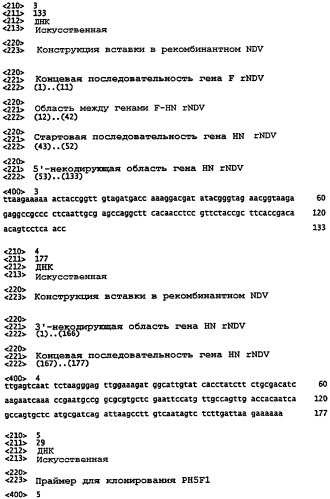 Векторы на основе рекомбинантных вирусов отряда mononegavirales (патент 2435857)