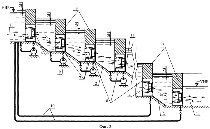 Способ пропуска молоди рыб через гидроузел при покатной миграции (патент 2406801)
