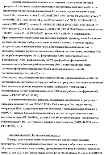 Способ получения l-треонина с использованием бактерии, принадлежащей к роду escherichia, в которой инактивирован ген fhua (патент 2333955)