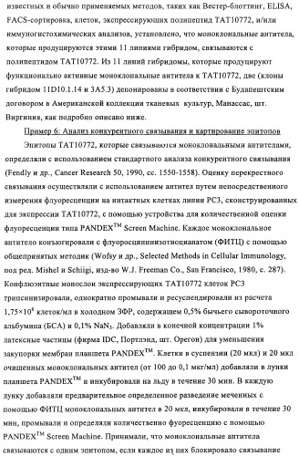 Композиции и способы диагностики и лечения опухоли (патент 2430112)