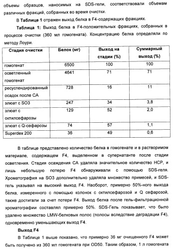 Вакцина для предупреждения и лечения вич-инфекции (патент 2441878)