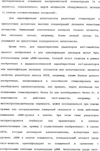Ее3-семейство белков и соответствующие днк-последовательности (патент 2333918)