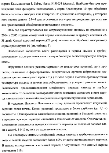 Способ возделывания яровой пшеницы предпочтительно в зоне светло-каштановых почв нижнего поволжья (варианты) (патент 2348137)