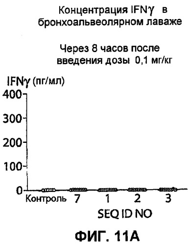Полумягкие иммуностимулирующие олигонуклеотиды с-класса (патент 2393223)