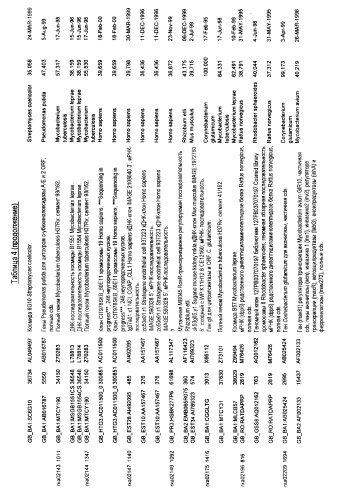 Гены corynebacterium glutamicum, кодирующие белки, участвующие в метаболизме углерода и продуцировании энергии (патент 2321634)