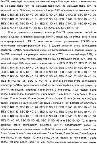 Иммунологические анализы активности ботулинического токсина серотипа а (патент 2491293)