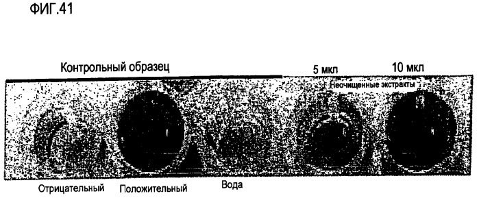 Ферментативная обработка масел (патент 2377307)