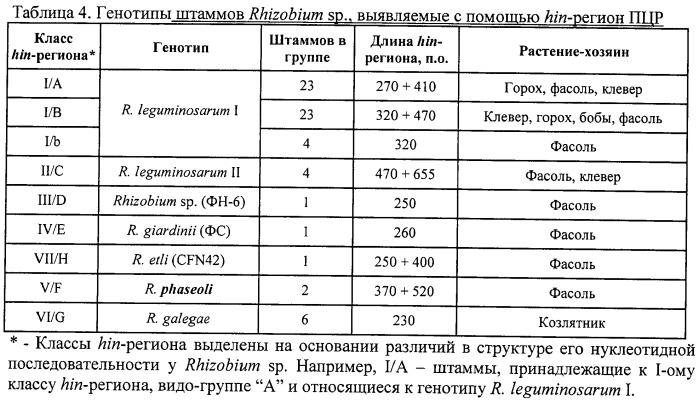 Способ идентификации и дифференциации прокариотических организмов (патент 2486251)