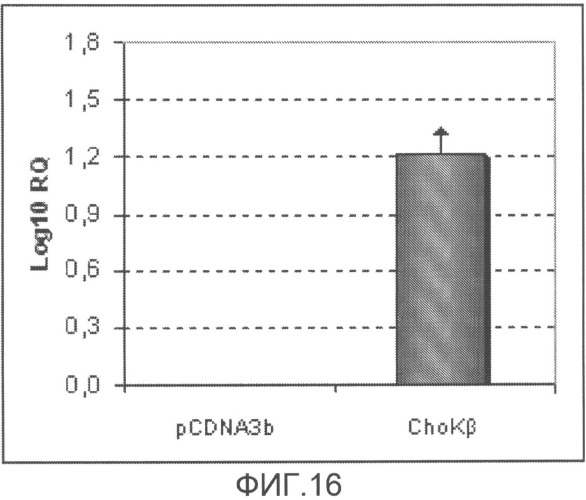 Способы лечения и диагностики рака (патент 2509809)