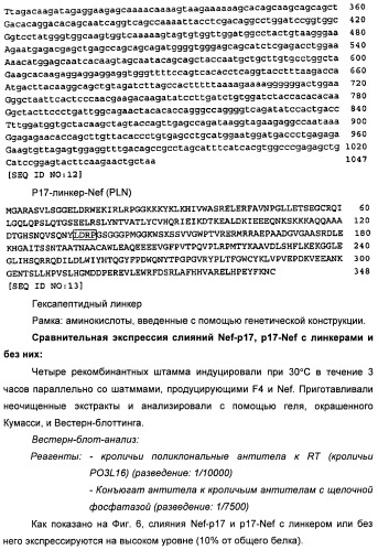 Вакцина для предупреждения и лечения вич-инфекции (патент 2441878)