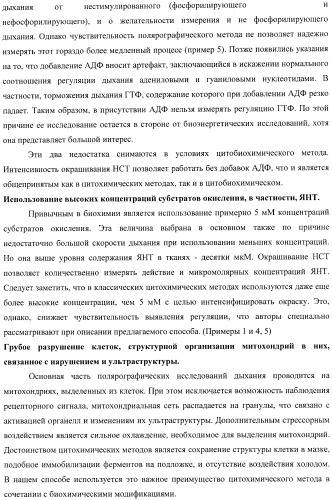 Цитобиохимический способ определения активности сукцинатдегидрогеназы, окисления эндогенной янтарной кислоты, сигнального действия микромолярных концентраций янтарной кислоты, его применение для количественной оценки уровня адренергической регуляции в организме, среда и набор для осуществления способа (патент 2364868)