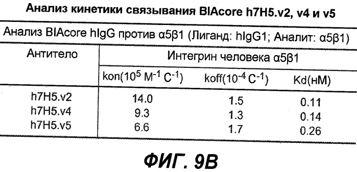 Новые антитела (патент 2490277)