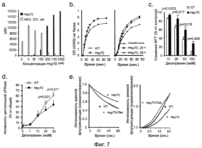 Применение hsp70 в качестве регулятора ферментативной активности (патент 2571946)