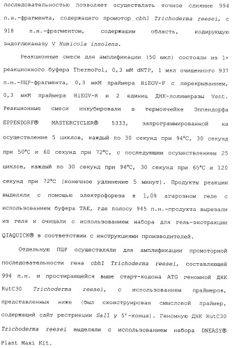 Клетка-хозяин trichoderma reesei для получения целлюлолитической белковой композиции, целлюлолитическая белковая композиция, способы ее получения и применения (патент 2494146)