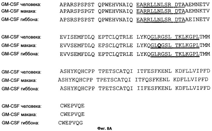 Антитела-нейтрализаторы гранулоцитарно-макрофагального колониестимулирующего фактора человека (патент 2458071)