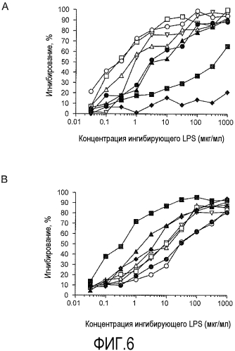 Внешний коровой эпитоп липополисахарида н. pylori (патент 2558257)