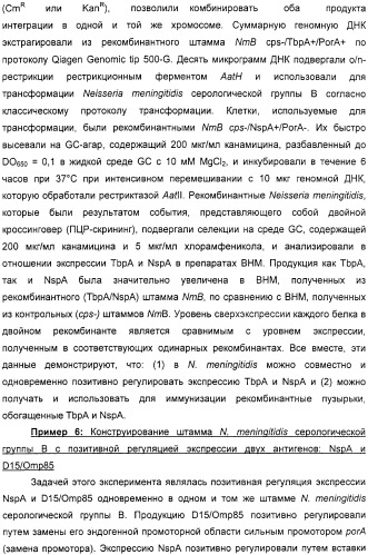 Нейссериальные вакцинные композиции, содержащие комбинацию антигенов (патент 2317106)