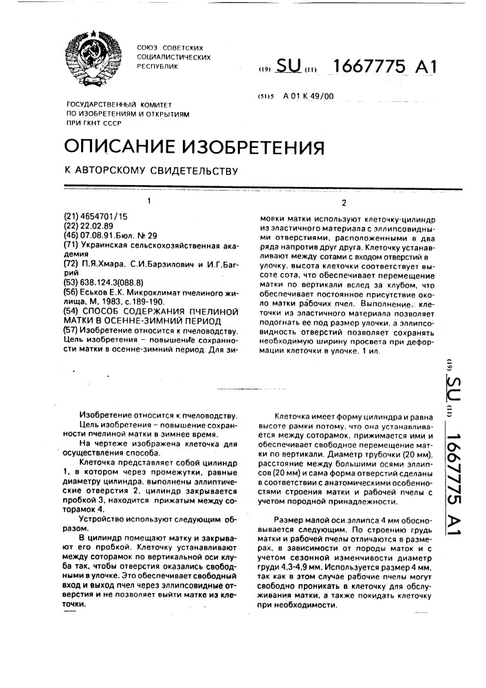 Способ содержания пчелиной матки в осенне-зимний период (патент 1667775)
