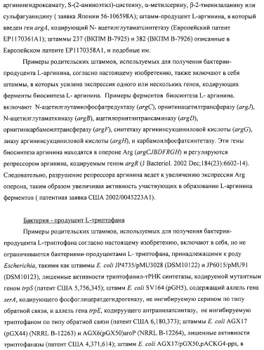 Способ получения l-аминокислот с использованием бактерии, принадлежащей к роду escherichia (патент 2312893)