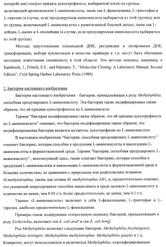 Способ придания бактерии, принадлежащей к роду methylophilus, ауксотрофности по l-аминокислоте, бактерия, принадлежащая к роду methylophilus, и способ продукции l-аминокислоты (патент 2395569)