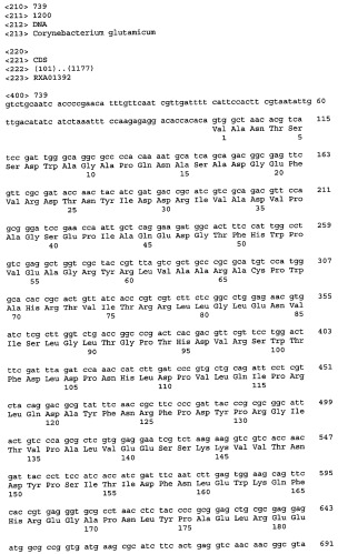 Гены corynebacterium glutamicum, кодирующие белки, участвующие в метаболизме углерода и продуцировании энергии (патент 2321634)