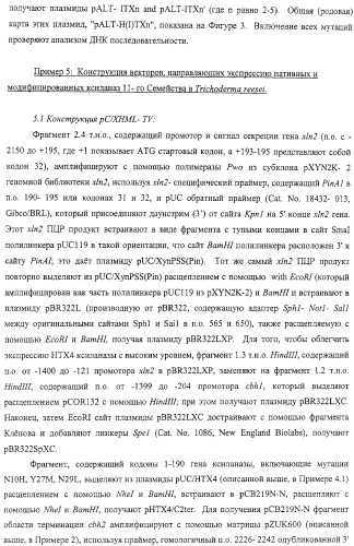 Модифицированная ксиланаза (патент 2394909)