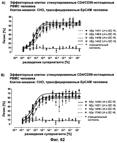 Pscaxcd3, cd19xcd3, c-metxcd3, эндосиалинxcd3, epcamxcd3, igf-1rxcd3 или fap-альфаxcd3 биспецифическое одноцепочечное антитело с межвидовой специфичностью (патент 2547600)